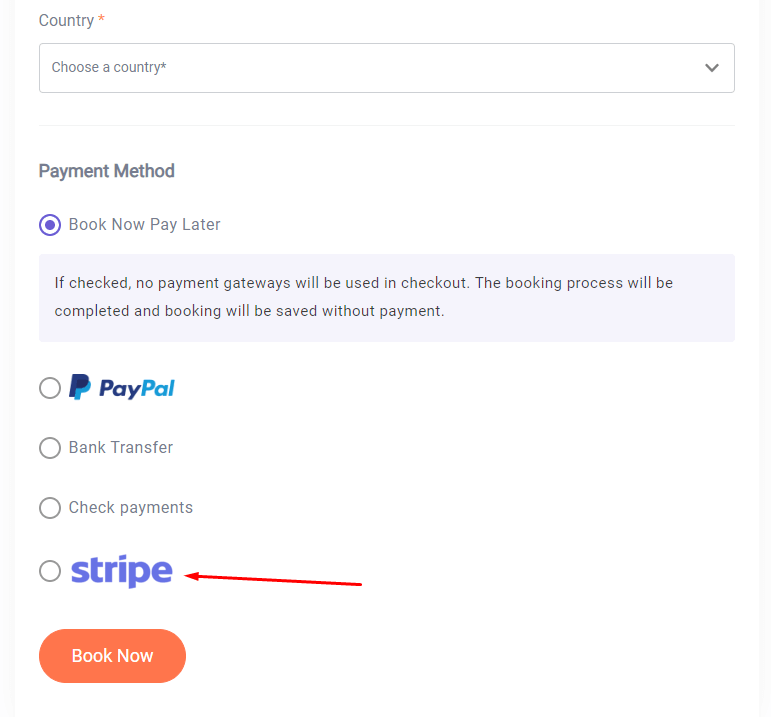 front preview stripe payment